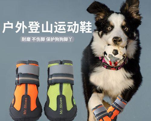 狗狗拒绝触摸后腿的原因是什么？
