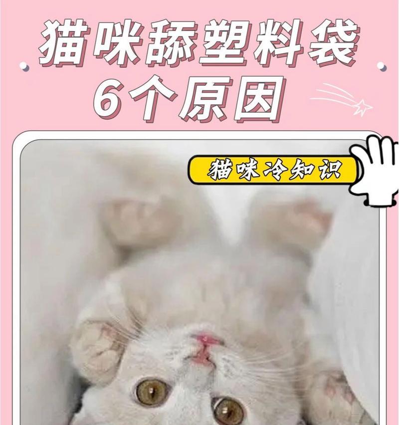 猫为什么喜欢舔塑料袋？这种行为背后的原因是什么？