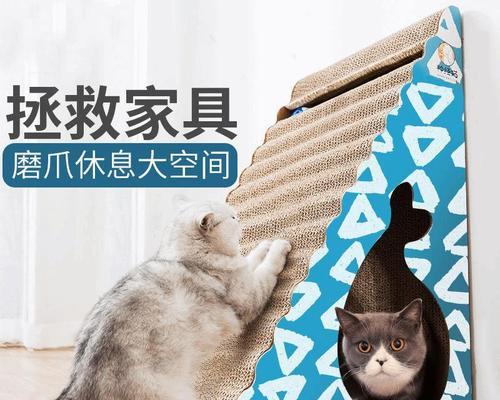 猫为什么喜欢磨爪子？磨爪行为背后的秘密是什么？