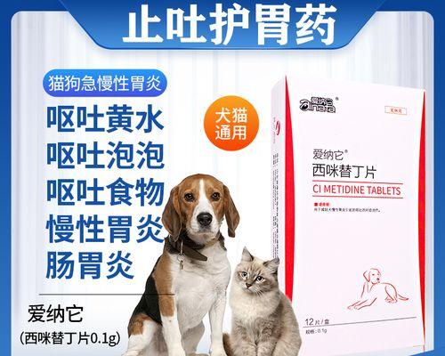 小狗吃什么药能治吐？呕吐原因及正确用药指南？