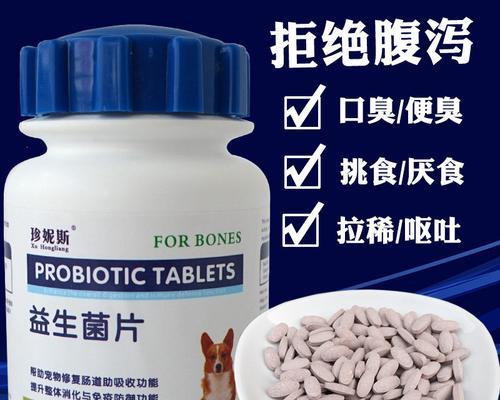 小狗吃什么药能治吐？呕吐原因及正确用药指南？