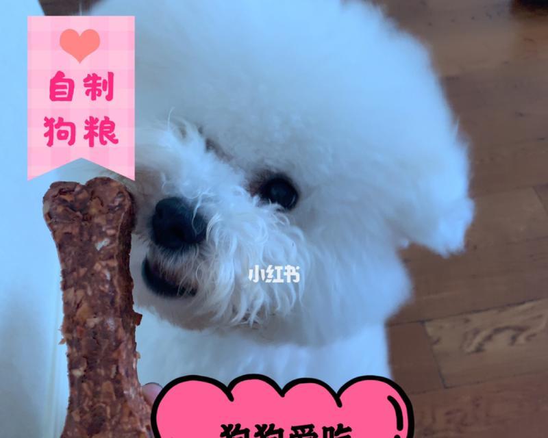 小狗的狗粮需要泡吗？泡狗粮的正确方法和注意事项是什么？
