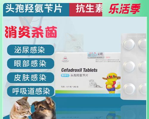 小狗狗吃的止痛药片有哪些？如何正确给狗狗服用止痛药？