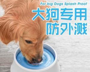 小狗狗喝水呛是怎么回事？如何预防和处理？
