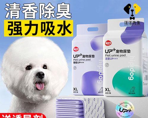 小狗几天排一次大便？如何判断排便频率是否正常？