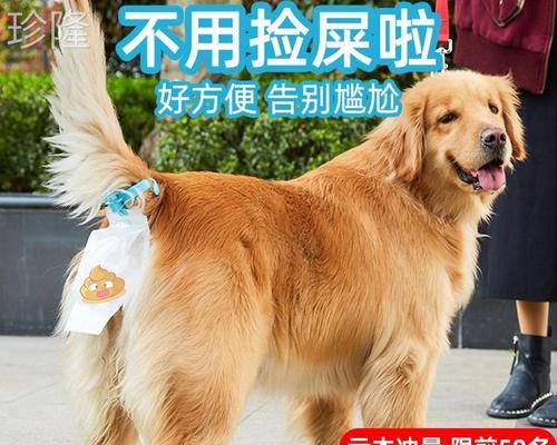 小狗几天排一次大便？如何判断排便频率是否正常？