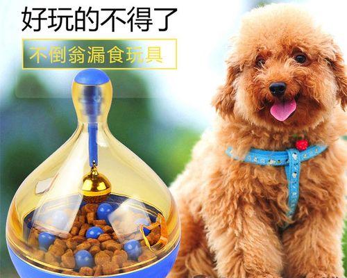 小狗可以吃多少狗粮？每日推荐量是多少？