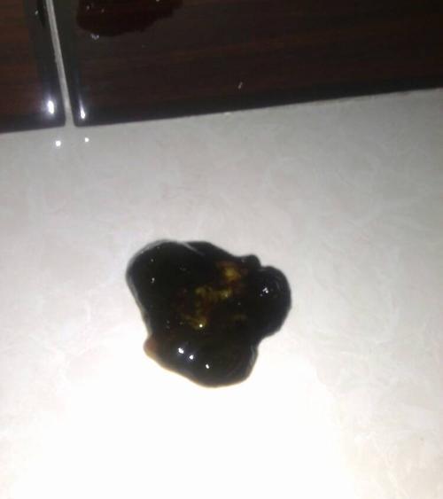 小狗拉稀时应该禁水禁食吗？正确处理方法是什么？