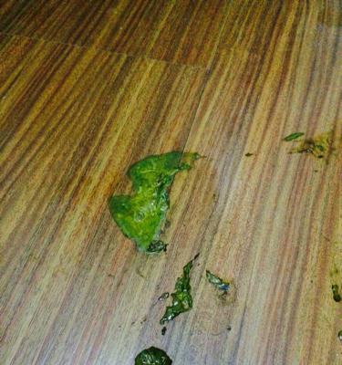小狗拉稀了不喂了嘛？如何正确处理宠物腹泻问题？