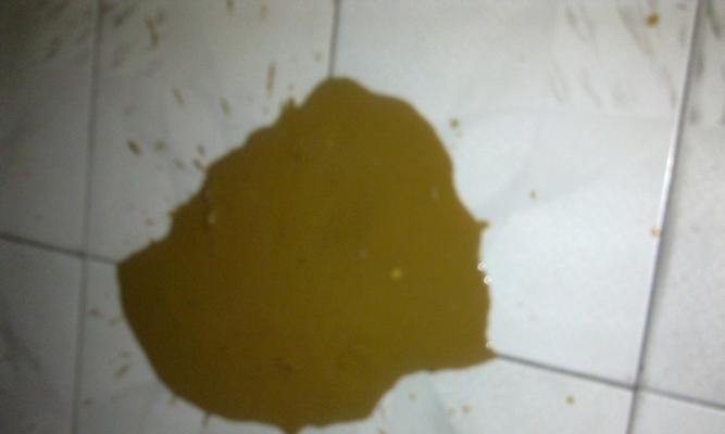 小狗拉稀严重怎么办？如何快速识别并处理宠物腹泻问题？