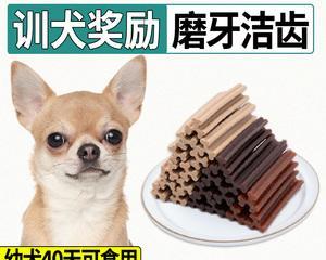 小狗能吃大磨牙棒么？对牙齿健康有好处吗？