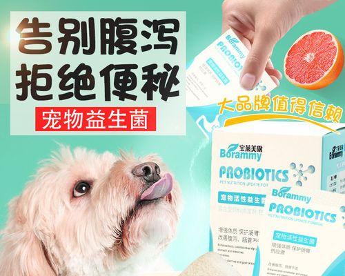 小狗生下来怎么办啊？新手养狗的必备指南是什么？
