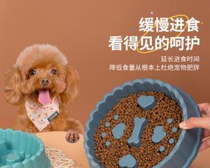小狗怎么过渡到干粮？正确步骤和注意事项是什么？