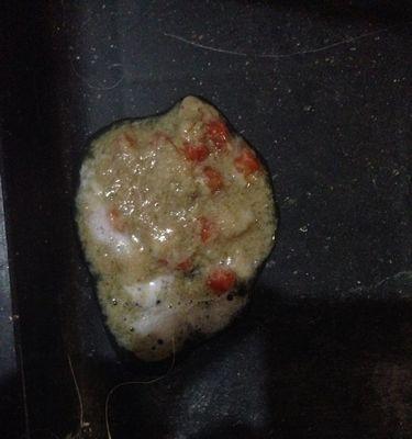 小狗只呕吐不拉粑粑怎么办？可能的原因和解决方法是什么？