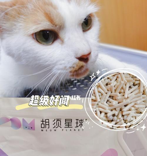 小猫对粉尘大的猫砂怎么办？如何选择适合的猫砂？