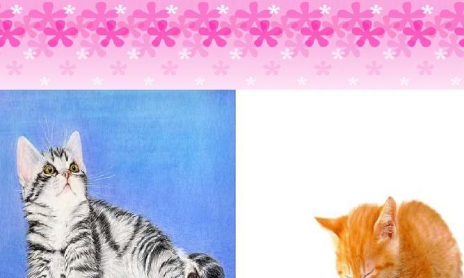 小猫躲在哪里ppt？如何制作吸引人的幻灯片？