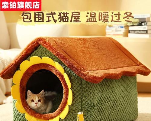 小猫能坐长途汽车吗？长途旅行中携带宠物的注意事项是什么？
