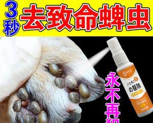 小猫身上的跳蚤怎么处理？有效去除跳蚤的方法有哪些？