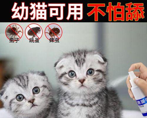 小猫身上的跳蚤怎么处理？有效去除跳蚤的方法有哪些？