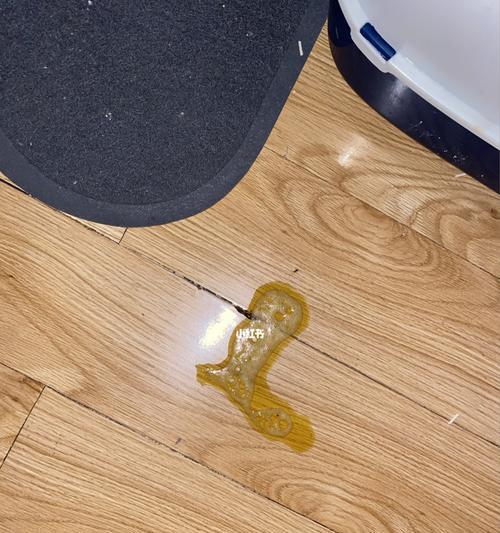 小猫吐黄水时应该吃什么药？如何正确处理？