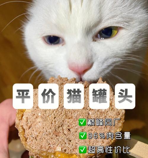 小猫早上吃罐头好吗？正确喂食时间与方法是什么？