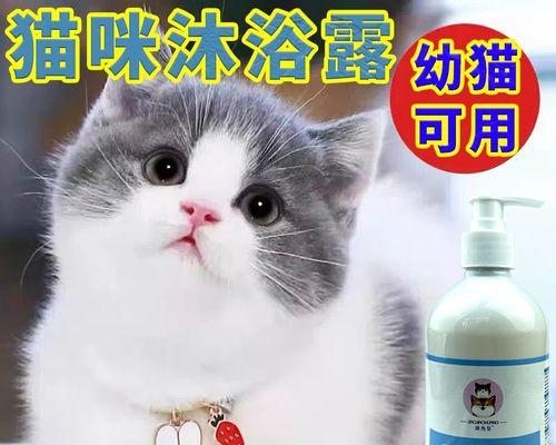 小猫咪拉稀时洗澡的正确方法是什么？