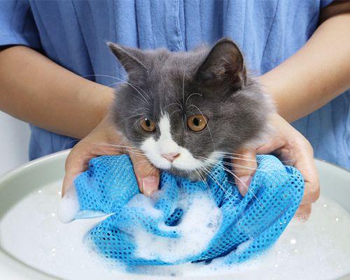 小猫咪拉稀时洗澡的正确方法是什么？