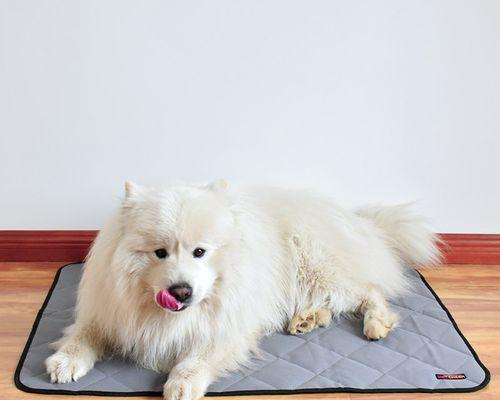 狗狗需要床吗？如何选择合适的狗狗床？