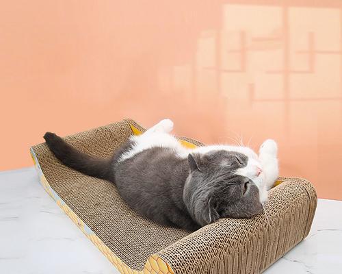 怎么不让猫咪抓沙发？有效防止猫咪抓挠家具的方法是什么？
