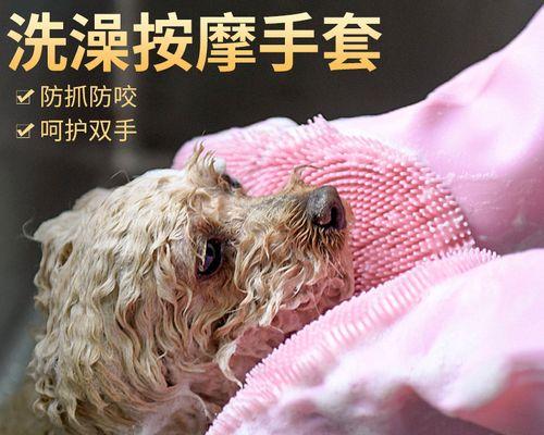 怎么给狗狗按摩带图？按摩步骤和注意事项是什么？