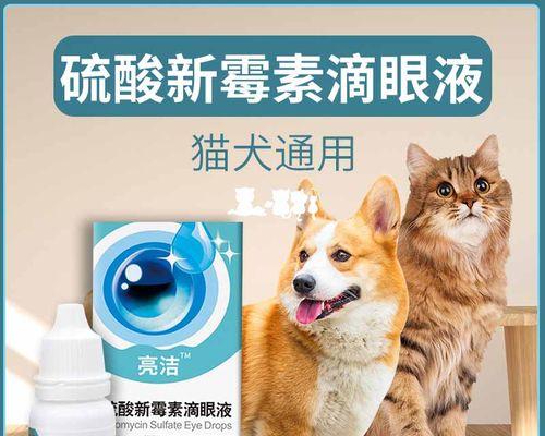 给猫猫擦眼药膏的正确方法是什么？需要注意哪些常见问题？