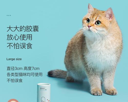 猫咪不用猫砂怎么办？有效训练猫咪使用猫砂的方法是什么？