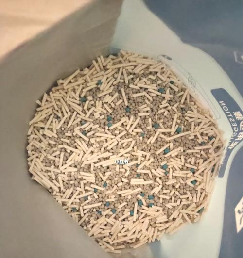猫咪不用猫砂怎么办？有效训练猫咪使用猫砂的方法是什么？
