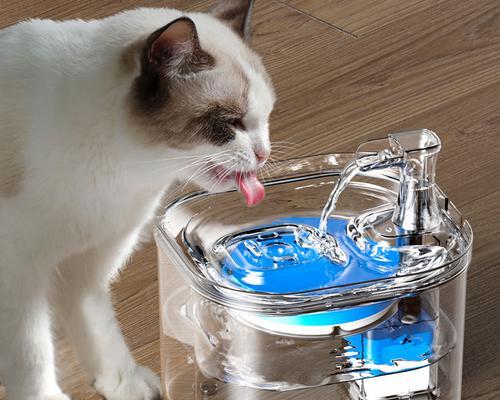 怎么教幼犬使用饮水器？简单步骤和技巧是什么？
