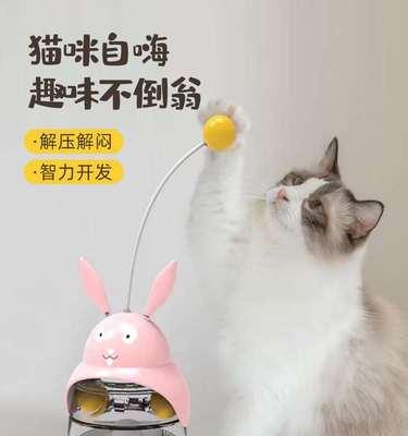 怎么能知道猫咪怀孕？有哪些早期迹象和检测方法？