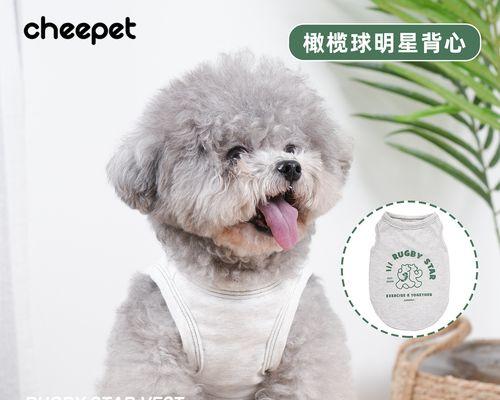 怎么让狗狗乖乖待着？训练狗狗保持安静的技巧有哪些？