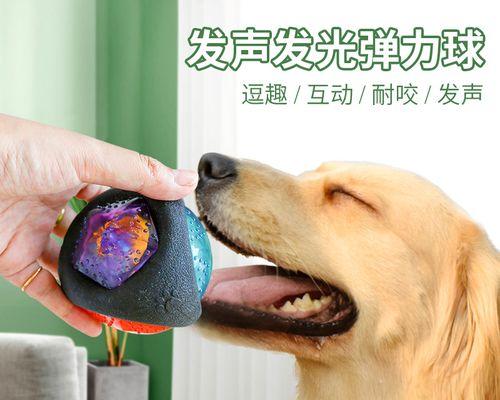 怎么训练狗狗捡回球？有效训练方法有哪些？