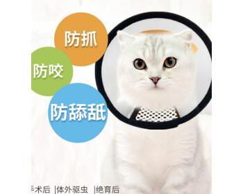 训练小狗舔私处的方法是什么？需要注意哪些常见问题？