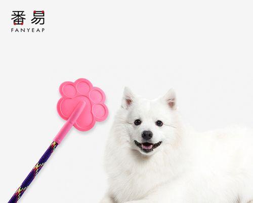 怎么样训练狗狗巡回？巡回训练的最佳方法和常见问题解答？