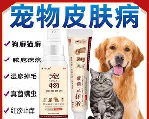 猫咪身上长癣怎么办？有效治疗方法有哪些？