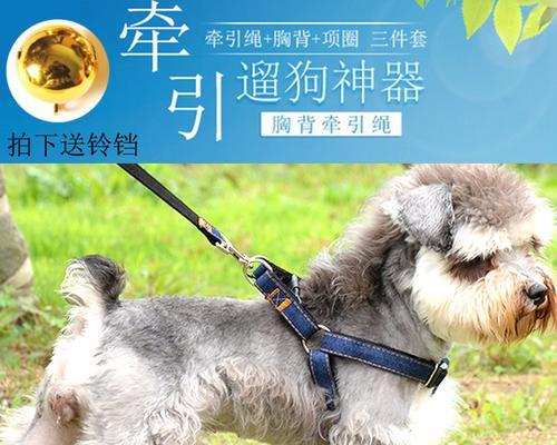 怎么做简单的狗链子？需要哪些材料和工具？