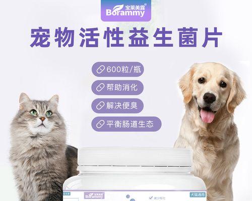 小狗肠胃不适怎么办？有效调理方法有哪些？