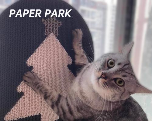 怎样教猫咪使用猫抓板？有哪些有效的方法？