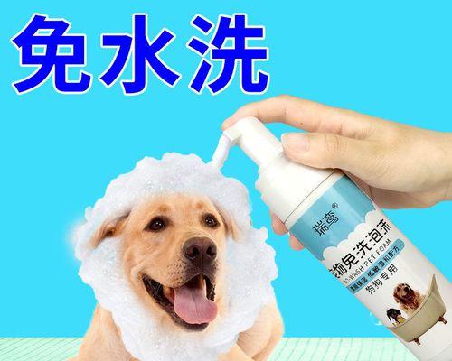 狗狗螨虫怎么治疗？分享有效的家庭治疗经验？