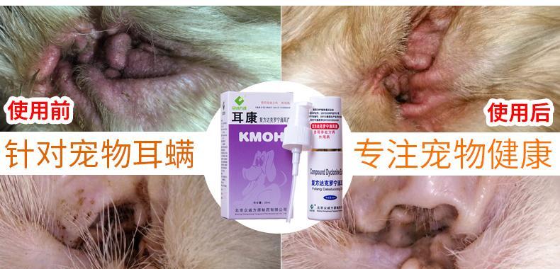 猫咪中耳炎怎么治疗？哪种药物最有效？