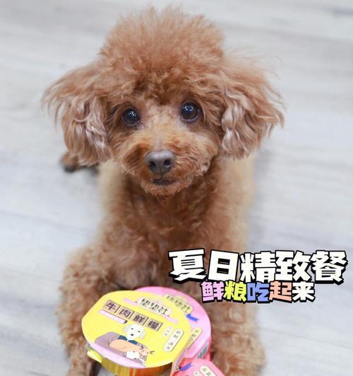 左旋咪唑狗狗怎么吃？正确剂量和使用方法是什么？