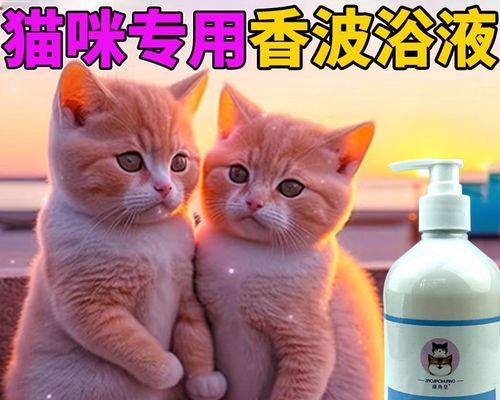 螨虫对猫有什么危害？如何有效预防和治疗？