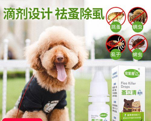 螨虫对猫有什么危害？如何有效预防和治疗？