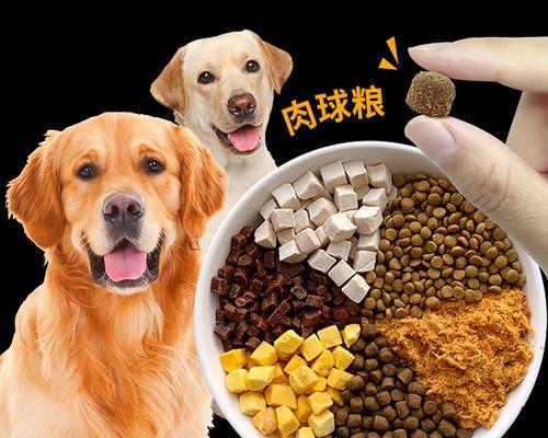 成犬狗粮需要泡软吗？泡软狗粮的好处和注意事项是什么？