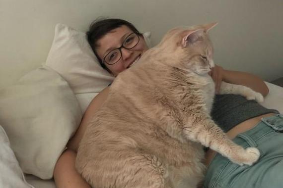 大猫会把小猫咬死吗？如何防止家庭宠物间的攻击行为？